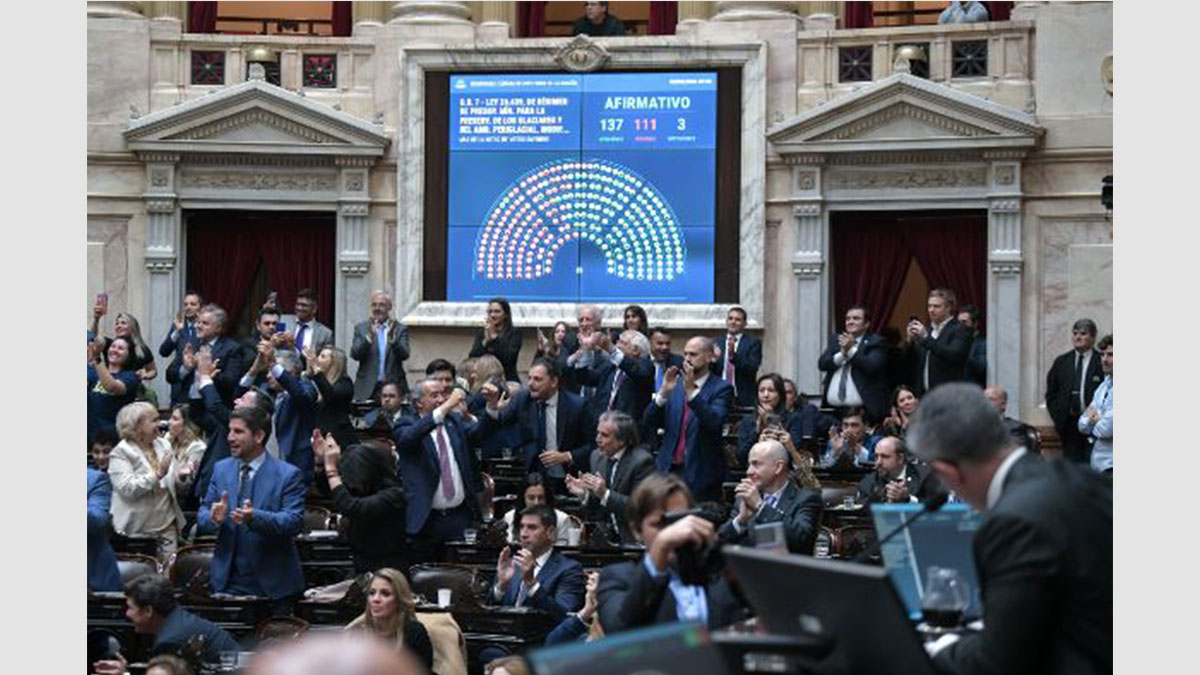 Nueva Ley de Glaciares: sanción en Diputados