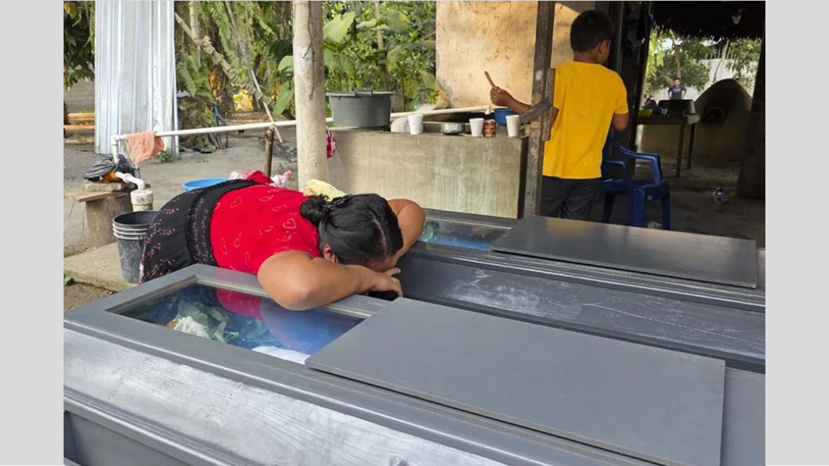Finca de palma africana en Colón, zona de la masacre que dejó 20 muertos en Honduras.