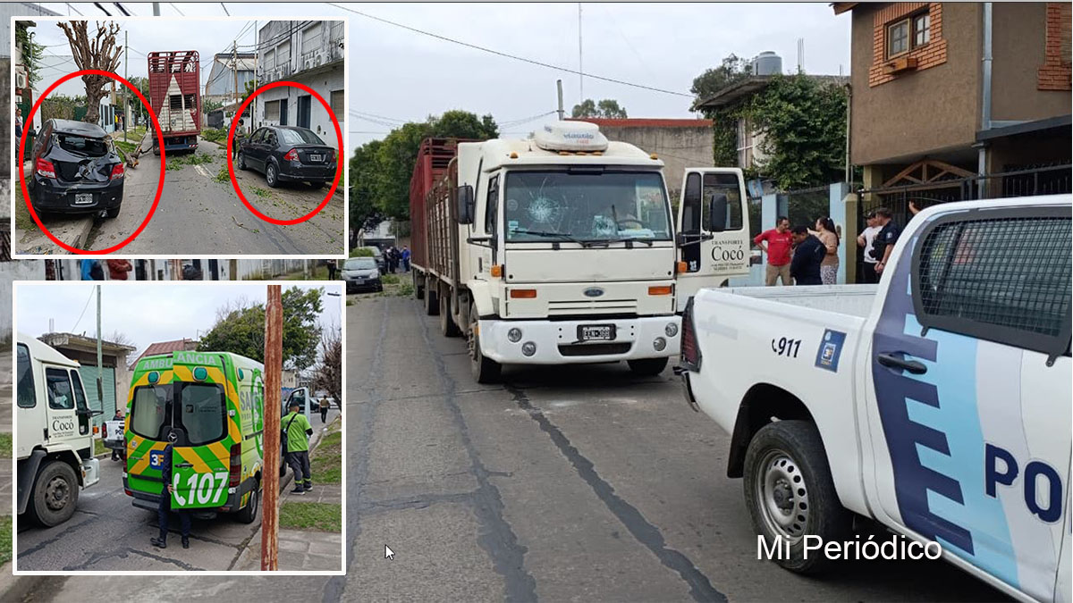 Camión jaula en Tres de Febrero tras chocar una rama y provocar daños en un poste y tres vehículos en Loma Hermosa