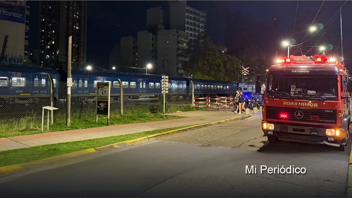 Accidentes ferroviarios en Tres de Febrero: tren San Martín detenido tras un atropellamiento