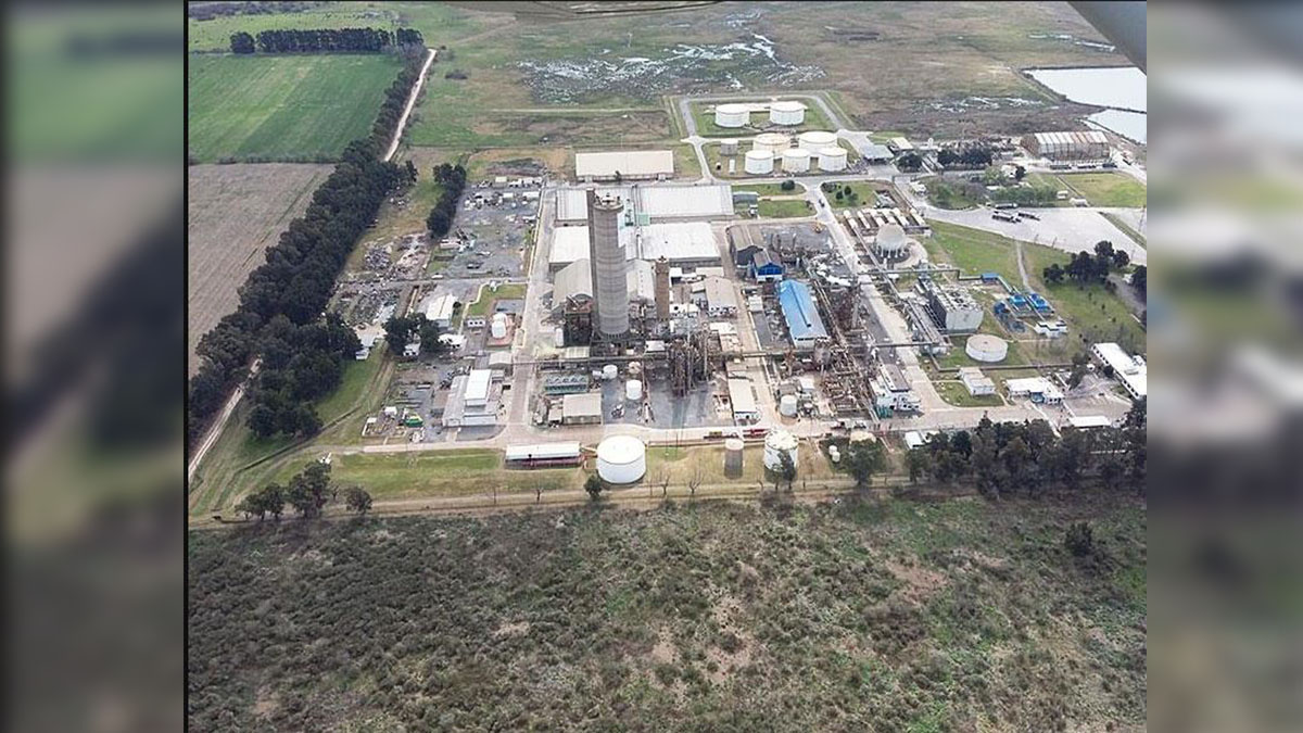 Bunge cerró su planta de Campana: complejo industrial de Bunge en Buenos Aires.