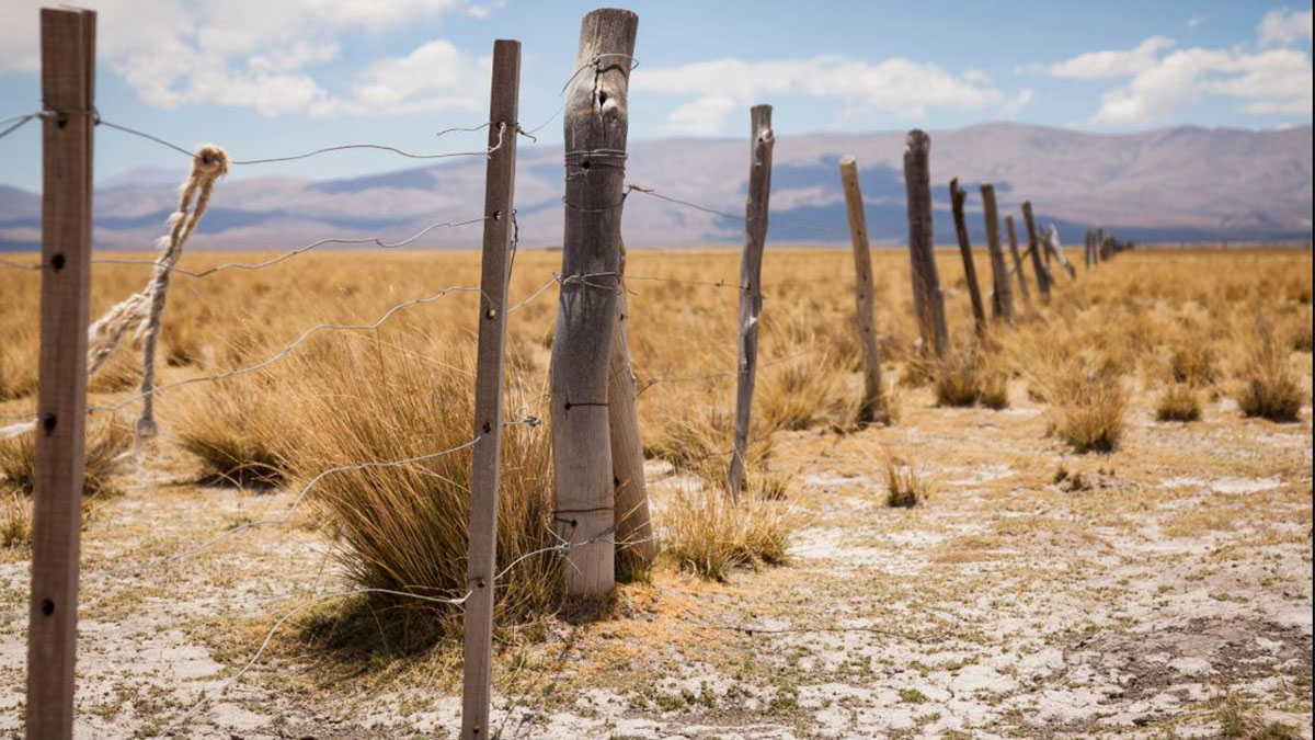 Derogación de la Ley de Tierras: campo rural argentino con alambrado